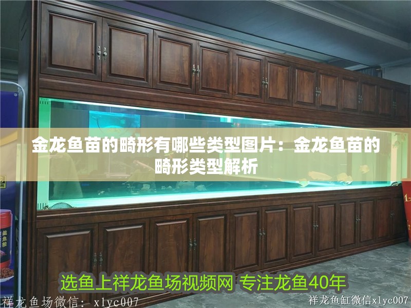 金龍魚苗的畸形有哪些類型圖片：金龍魚苗的畸形類型解析